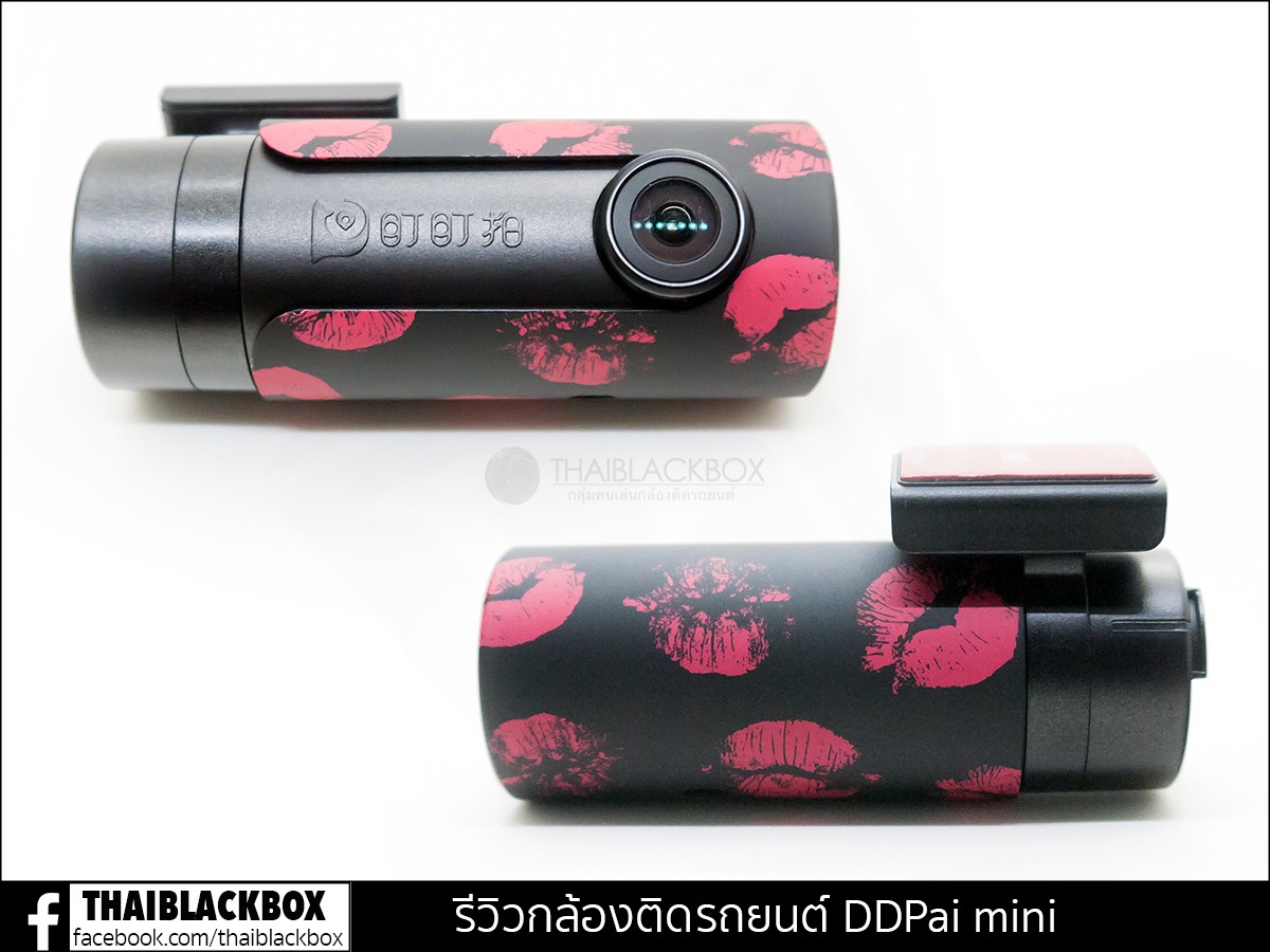 Beautiful Lipstick Case